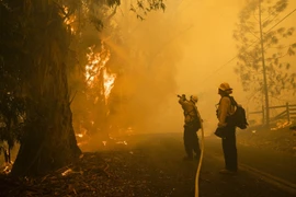 Mỹ: Bùng phát các đám cháy rừng mới ở bang California