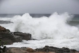 Nhật Bản: Siêu bão Habigis gây nhiều thương vong và thiệt hại