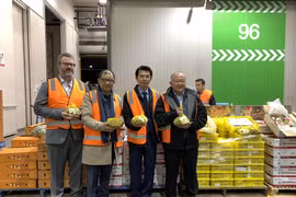 Đại diện Bộ Nông nghiệp và Nguồn nước Australia, Hiệp hội doanh nhân Việt Nam tại Australia, Thương vụ Việt Nam tại Australia và chủ công ty Aus Asia Produce tại quầy bán trái nhãn tươi vừa được nhập khẩu từ Việt Nam. (Ảnh: Nguyễn Minh/TTXVN)