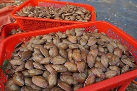 Phạt 1 Facbooker 10 triệu đồng vì đưa tin ăn sò lụa đỏ gây tử vong