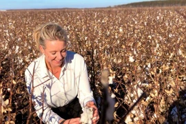 Australia tăng cường biện pháp bảo đảm an toàn sinh học   