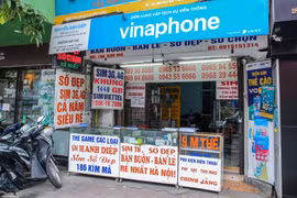 Ảnh minh họa. (Ảnh: Minh Sơn/Vietnam+)
