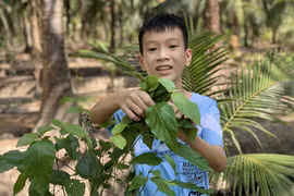 Chân dung Đào Khương Duy - Nam sinh giành giải Ba Cuộc thi Viết thư Quốc tế UPU 2023. (Ảnh: VietnamPost)