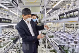 Đoàn công tác khảo sát khu nhà thực nghiệm tại Viện Nghiên cứu Rau quả. (Ảnh: Nguyễn Thắng/TTXVN)
