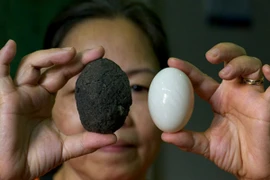 “Tôi sống xanh”: Kết nối cộng đồng xuyên quốc gia 