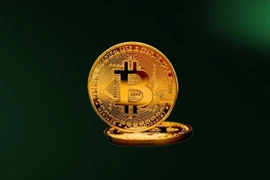 FBS cảnh báo các nhà đầu tư về rủi ro liên quan đến đồng tiền kỹ thuật số Bitcoin trong năm 2024