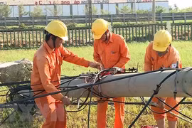 Công nhân Công ty Điện lực Quảng Nam tập trung khắc phục lưới điện sau bão số 9. (Ảnh: Trần Tĩnh/TTXVN)