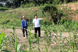 Cán bộ Sở Tài nguyên và Môi trường tỉnh Tuyên Quang kiểm tra khu vực bờ sông thuộc địa phận thôn 4, xã Thái Bình, huyện Yên Sơn. (Ảnh: Quang Cường/TTXVN)