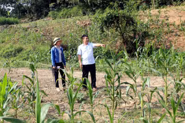 Cán bộ Sở Tài nguyên và Môi trường tỉnh Tuyên Quang kiểm tra khu vực bờ sông thuộc địa phận thôn 4, xã Thái Bình, huyện Yên Sơn. (Ảnh: Quang Cường/TTXVN)