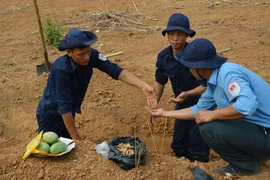 Các chiến sỹ Đội K72 đang thực hiện nhiệm vụ tìm kiếm cất bốc hài cốt liệt sỹ quân tình nguyện và chuyên gia Việt Nam hi sinh trên chiến trường nước bạn Campuchia. (Nguồn: TTXVN)