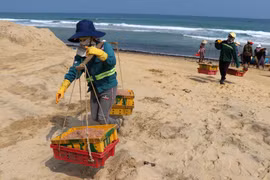 Người dân vận chuyển ruốc từ thúng lên bờ. (Ảnh: Phước Ngọc/TTXVN)