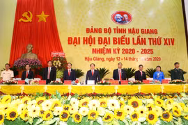 Các đại biểu thực hiện nghi thức chào cờ. (Ảnh: Duy Khương/TTXVN) 