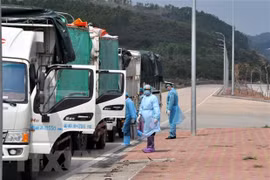 Các phương tiện được khử trùng tiêu độc trước khi làm thủ tục thông quan. Ảnh minh họa. (Ảnh: Việt-Đức/TTXVN)