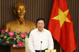 Phó Thủ tướng, Bộ trưởng Bộ Ngoại giao Phạm Bình Minh chủ trì họp Tổ công tác thúc đẩy hợp tác đầu tư nước ngoài. (Ảnh: Lâm Khánh/TTXVN)