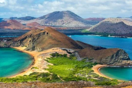 Quần đảo Galapagos. (Nguồn: AFP)