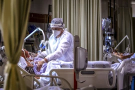 Nhân viên y tế điều trị cho bệnh nhân mắc COVID-19 tại một bệnh viện ở Porto Alegre, Brazil ngày 9/12/2020. (Ảnh: AFP/TTXVN)