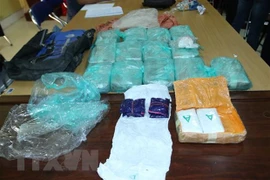 Ảnh minh họa. (Nguồn: TTXVN)