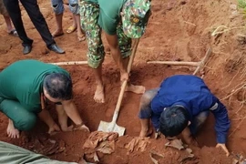 Đơn vị quy tập Đội K72 đã đào tìm được 4 bộ hài cốt liệt sỹ tại ấp K54 xã Lộc Tấn, huyện Lộc Ninh (Bình Phước). (Ảnh: TTXVN phát)