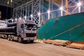 (Nguồn: Hoaphat.com.vn)