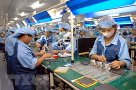 Ảnh minh họa. (Nguồn: TTXVN)
