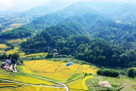 Ruộng bậc thang ở xã Lục Hồn được công nhận là Di tích-Danh thắng cấp tỉnh (Nguồn ảnh: baoquangninh)