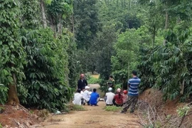 Khu rẫy nơi phát hiện thi thể 3 cha con ông K. (Nguồn: Báo Thanh niên)
