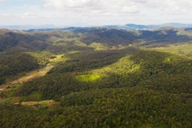  Một góc vườn Quốc gia Kon Ka Kinh, tỉnh Gia Lai. (Ảnh: Dư Toán/TTXVN)