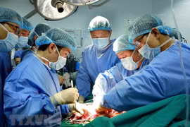 Năm 2017, lần đầu tiên Việt Nam thực hiện ca ghép phổi từ người cho sống. Ca ghép diễn ra ngày 21/2/2017, do các bác sỹ Bệnh viện Quân y 103, Học viện Quân y phối hợp với các chuyên gia Nhật Bản thực hiện. Thành công ca ghép phổi đầu tiên đưa chuyên ngành
