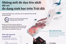 Những mối đe dọa lớn nhất đối với đa dạng sinh học trên Trái Đất