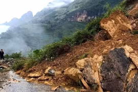 Ảnh minh họa. (Nguồn: TTXVN)