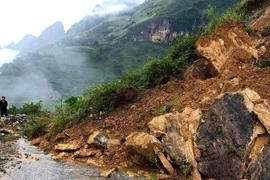 Ảnh minh họa. (Nguồn: TTXVN)