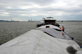 Ảnh chỉ có tính minh họa. (Nguồn: TTXVN)