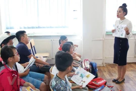 Ảnh minh họa. (Nguồn: Vietnam+)