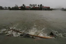 Nước lũ dâng cao gây ngập úng ảnh hưởng đến nhà ở của 300 hộ dân huyện Tây Hòa. (Ảnh: Phạm Cường-Xuân Triệu/TTXVN) 