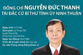 Ông Nguyễn Đức Thanh tái đắc cử Bí thư Tỉnh ủy Ninh Thuận