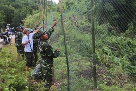 Lực lượng chức năng và người dân địa phương giăng lưới ngăn chặn đàn voọc xuống đường cắn người. (Ảnh: Hồ Cầu/TTXVN)