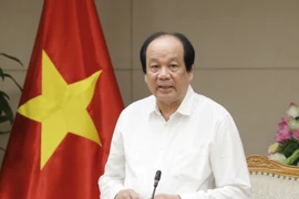 Bộ trưởng, Chủ nhiệm Văn phòng Chính phủ Mai Tiến Dũng, Tổ trưởng Tổ công tác của Thủ tướng Chính phủ phát biểu. (Ảnh: Doãn Tấn/TTXVN)