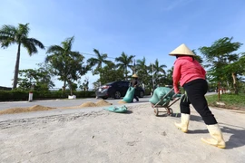 Người dân xã Cẩm Quan mang thóc ra phơi khi trời đã nắng ráo (ảnh chụp sáng 23/10). (Ảnh: Minh Quyết/TTXVN) 