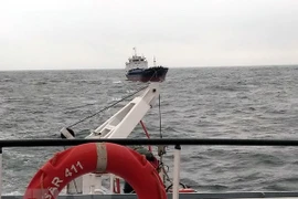 Ảnh minh họa. (Nguồn: TTXVN)