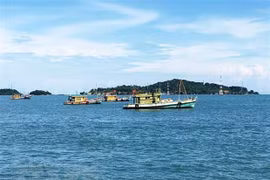 Ảnh chỉ có tính minh họa. (Nguồn: TTXVN)
