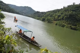 Ảnh chỉ có tính minh họa. (Nguồn: TTXVN)