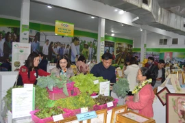 Các sản phẩm OCOP được trưng bày tại Hội nghị. (Ảnh: Phương Anh/TTXVN)