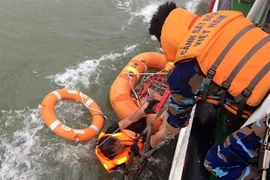 Ảnh minh họa. (Nguồn: TTXVN)