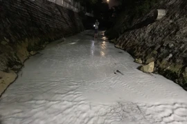 Suối Sọ ở Bình Dương đổi màu, nổi bọt trắng. (Ảnh: Huyền Trang/TTXVN)