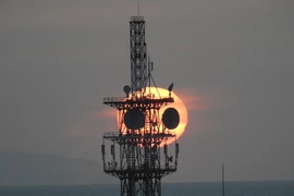 "Gấu trúc hoàng hôn" năm 2024. (Nguồn: The Mainichi"