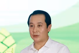 Phó Bí thư Thường trực Tỉnh ủy Vĩnh Phúc Phạm Hoàng Anh. (Ảnh: Hoàng Hùng/TTXVN)