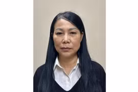 Bà Hoàng Thị Thúy Lan. (Ảnh: Bộ Công an/TTXVN phát) 