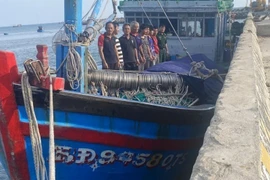 8 ngư dân trên tàu cá Bình Định BĐ 92155 TS bị chìm được tàu cá mang số hiệu BĐ 94580 TS ứng cứu đưa về bờ an toàn. (Ảnh: TTXVN phát)
