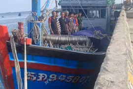 8 ngư dân trên tàu cá Bình Định BĐ 92155 TS bị chìm được tàu cá mang số hiệu BĐ 94580 TS ứng cứu đưa về bờ an toàn. (Ảnh: TTXVN phát)