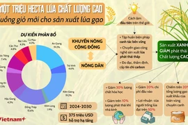 Kỳ vọng gì từ Đề án 1 triệu hécta lúa chất lượng cao